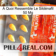 À Quoi Ressemble Le Sildénafil 50 Mg new01